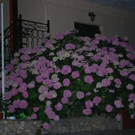 Stilos Ioannis Apartment