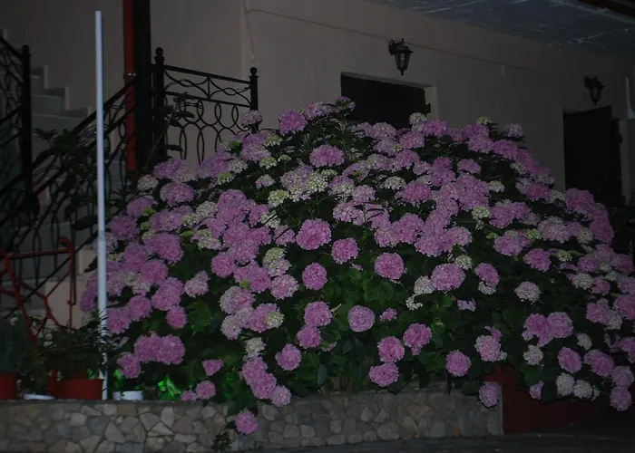 Stilos Ioannis Διαμέρισμα